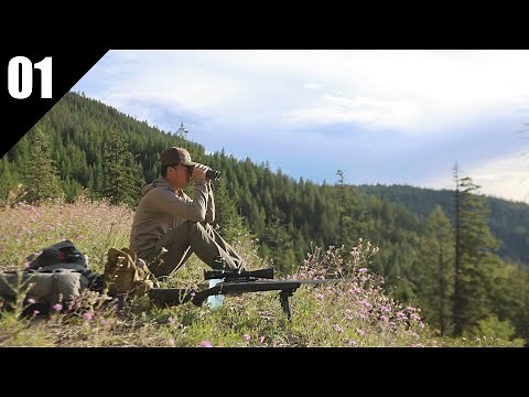 The Season Opener! — Hunting for Early Fall Black Bears | 2025 EP.01
