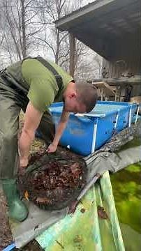 I Popped the Pool Pond!!! #Jesus #GrayGang