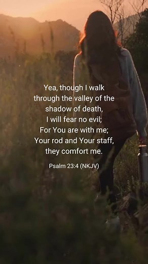Reflections on Psalm 23:4: A Guide to Finding Comfort