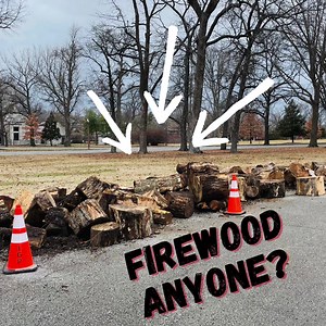 More free firewood is available on a first-come first-serve basis near the Kingshighway Entrance. All wood comes from the removal of dead or structurally damaged trees from Tower Grove Park and will be available during Park hours. Daily wood supply is not guaranteed. *No phone calls needed | Tower Grove Park