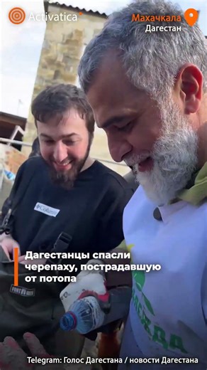 🟠Дагестанцы помогают друг другу после потопа #дагестан #мамедкала #потоп #погибшие