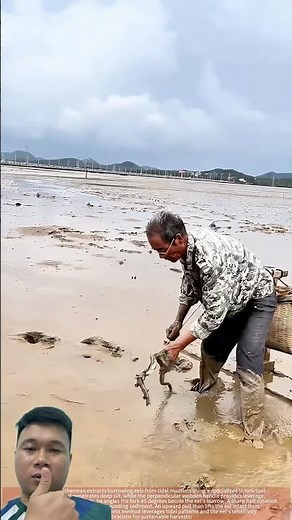 Simple tools for catching eels in the mud are very effective.#useful #shorts #shortvideo #youtuber