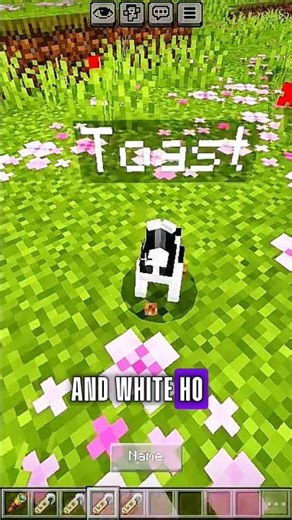 4 unique Name tag in Minecraft 😱😆#minecraft #gaming