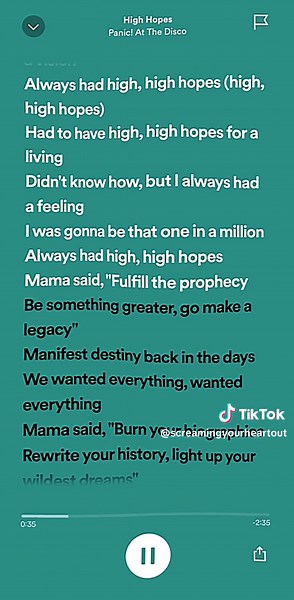 the perfect song to dance to 🪩🪅 #highhopes #panicatthedisco #highhighhopes #lyrics #danceparty