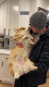 Dear 2025, I can’t say I’ll miss you. I’ll remember losing our house, losing our Theo, and losing my mental health. I’ll remember crying more than laughing, learning that both Hammy and Fiona have hip dysplasia and that Nori has osteoarthritis. I’ll remember sleeping on a couch for half the year, using alcohol as a coping mechanism, and watching my home flood. And then... sitting here during the last two days of the year... somehow... everything just feels... fine? Because... maybe... Losing a h