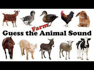 GUESS THE FARM ANIMAL SOUND GAME | ANIMAL SOUND QUIZ - FOR KIDS, KINDERGARTEN, PRESCHOOLERS