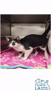 15 reactions | On Sunday, Jan 26, CAL FIRE requested assistance...