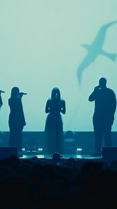 💙🕊️ | AURORA