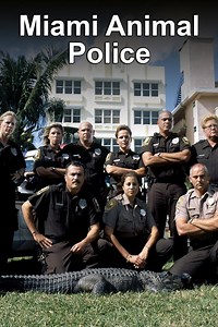 Miami Animal Police - Alchetron, The Free Social Encyclopedia