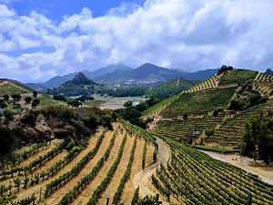 Filming and Photography — Saddlerock Ranch