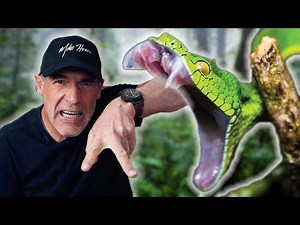 COMMENT ATTRAPER ET MANGER UN SERPENT