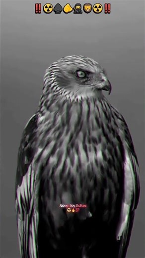 #trendingshorts #reels #viralreels #viralshorts #trending #trendingshorts #video #viralvideo