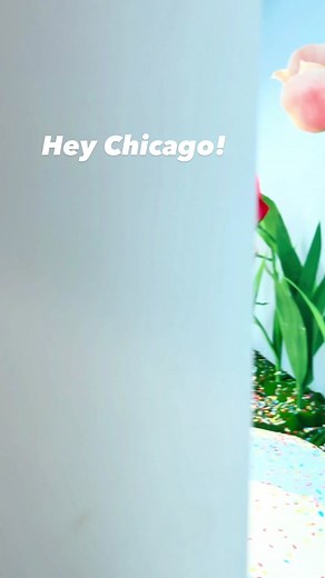 Color Factory on TikTok