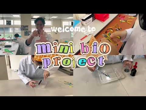 DIY DNA Extraction and Gel Electrophoresis (Part 1) | G4 HB2 25/26