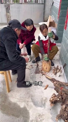 Split Blind Boxes to Combat Rice Worms: A Doumi Bug Solution for Rural Life