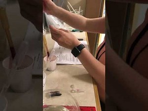 Lab Set Up Demonstration of Amylase Investigation - 7.3 Metabolic Reactions Lesson 5