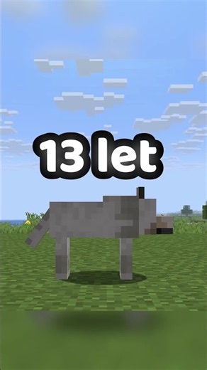 Co se stalo s nejstarším psem v Minecraftu?!