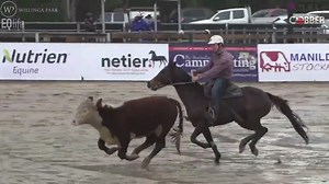 10K views · 260 reactions | Superstar mare Eltorrio (by Daleys Playrio) & Ben Hall should have smooth passage into the semi - finals of the Willinga Park Gold Buckle. Today they added an 88.66 (21.33, 63.33, 4) to their Rd1 score of 86.66.  www.daleysplayrio.com.au Ben & Jaye Hall Video thanks to #WillingaPark & #EquestrianLife. | Select Sires | Facebook