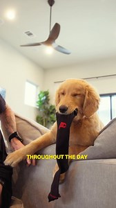 🚀 Big goals require big support. Ultra-runner Matt Johnson pushes the limits—from running across Texas to training for his next epic challenge. He counts on PRO Compression for all-day support and faster recovery. Now it’s your turn. Get 45% OFF today! 💥 | PRO Compression