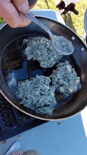 ThoseVanLifeMaaori on TikTok