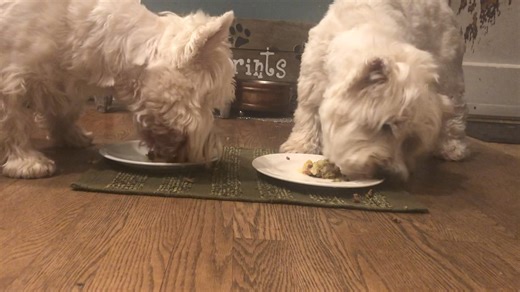 Mama gave us some shepherds pie for dinner—yummy ❤️ | The Piper Chronicles