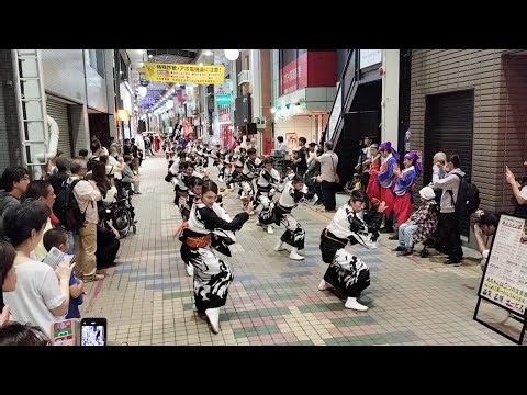 [中延よさこい]藍なり（3ブロック2回目）