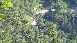 OSITO BARNY /MIX/ EXITOS DE ORO | Requinto Kuyay Taki