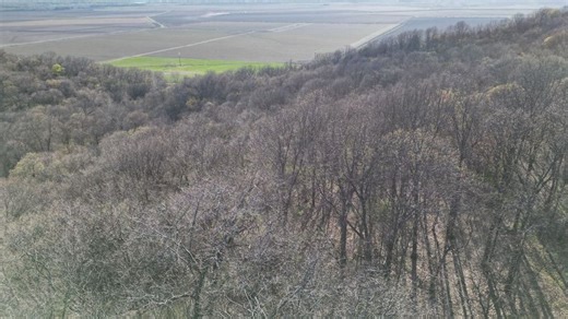 Calhoun County Deer And Turkey Property With River Bottom Views | Whitetail Properties