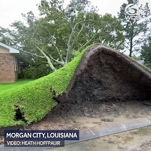 926K views · 1K reactions | THIS IS WILD!  Look what Hurricane Ida did to this lawn in Morgan City! Ida damage assessment continues throughout Louisiana >> https://bit.ly/3yrClwB (: Heath Hoffpauir) | WDSU News | Facebook