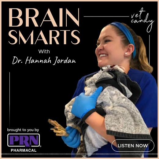 11K views · 13 reactions | ️ New Brain Smarts just dropped on Vet...
