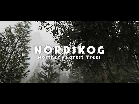 Skyrim’s Most Underrated Tree Mod | NORDSKOG - Northern Forest Trees Showcase (HD/4K)