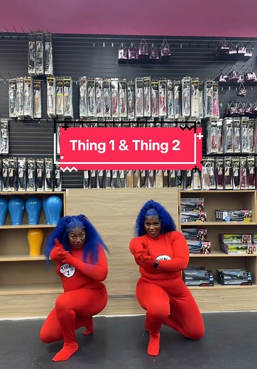 Exploring the Fun of Thing 1 & Thing 2 Characters