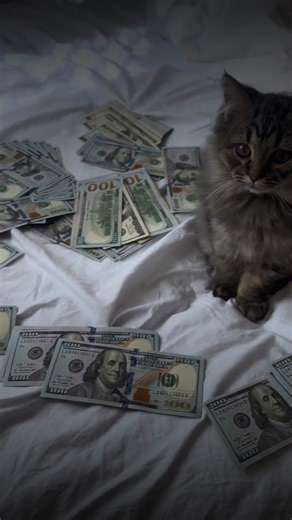 Good job bro! | Driven Spirit Motivation