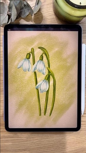 Chalk Drawing of Snowdrops in #procreate Brushes available in my Etsy 🧡 #procreatebrushes #drawing