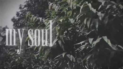 Bhaskar Saha on Instagram: "Oh beautiful poison tree... #lyrics #çeviri #fyp #fyp» #keşfetedüş [ lyricstürkçe lyricsturkey kesfetteyim ceviri kesfetteyiz lyricsenglish lyricsedits poisontree ]"