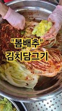 봄배추 김치담그기. #봄배추#예산10경#예당호#추사김정희#예당호출렁다리#예산시장#사과당#백종원#예당호좌대#귀농귀촌