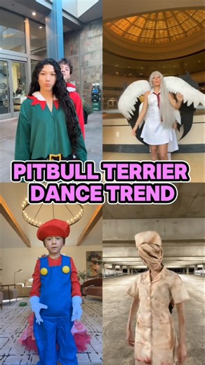 Pitbull Terrier Dance Trend 😍✨ #shorts #dancetrend #pitbullterrier