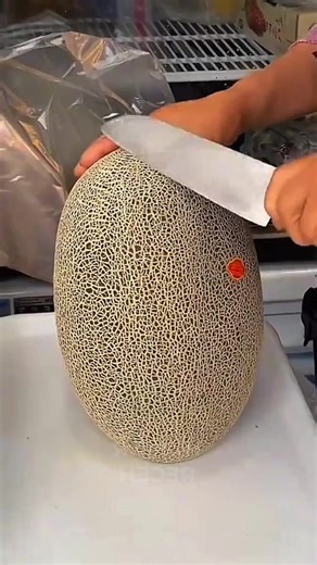 HR (@humor.receeh)’s videos with suara asli - HR