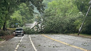 Severe storms sweep through DC, Maryland, Virginia causing downed trees & outages