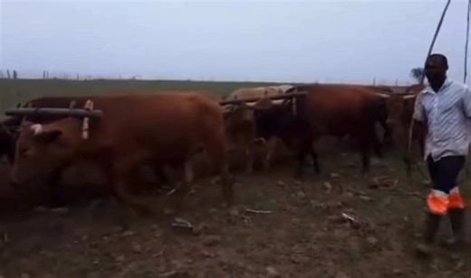 11 reactions · 8 comments | Yandikhumbuza umfowethu uOne day lentsizwa. | Nkosiphendule Speda-peda Mkalali | Facebook