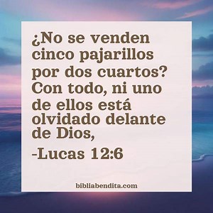 Explicación Lucas 12:6. '¿No se venden cinco pajarillos por dos cuartos? Con todo, ni uno de ellos está olvidado delante de Dios,' - BibliaBendita