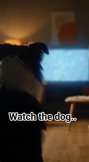 The TV Turned On By Itself