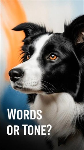 Do Dogs Understand English or Just Your Tone? #pets