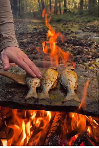 Cocina de Bluefish en Piedra Natural al Aire Libre