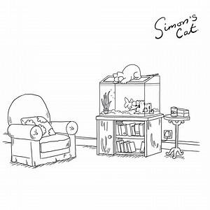 4.1M views · 102K reactions | Simon's Cat finally met his match...meet Simon's Fish!    | Simon's Cat | Facebook