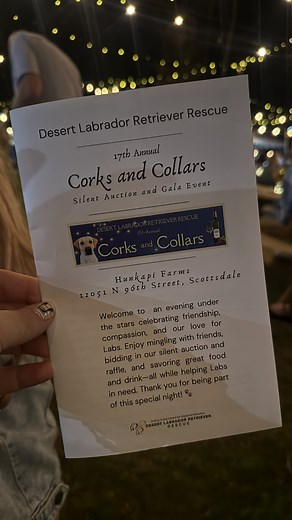 What a night! 🍷 Thank you to everyone who came out to Corks and Collars 2025. You made it a night to remember. Your kindness and generosity keep our mission alive, helping Labs find the loving homes they deserve. 💛 We’re so grateful for this community and can’t wait to see you at the next event! 🐾 | Desert Labrador Retriever Rescue