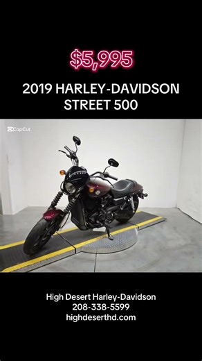 2019 HARLEY-DAVIDSON STREET 500