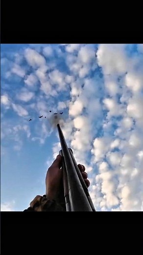 Epic duck hunting action! 🦆🎯 Perfect aim, fast shots, and wild moments in the field. Don’t blink or