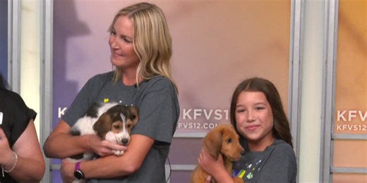 SEMO Pets hosts volunteer training