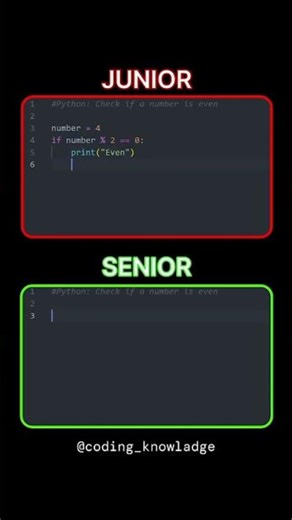 python junior and senior programmer #viralvideo